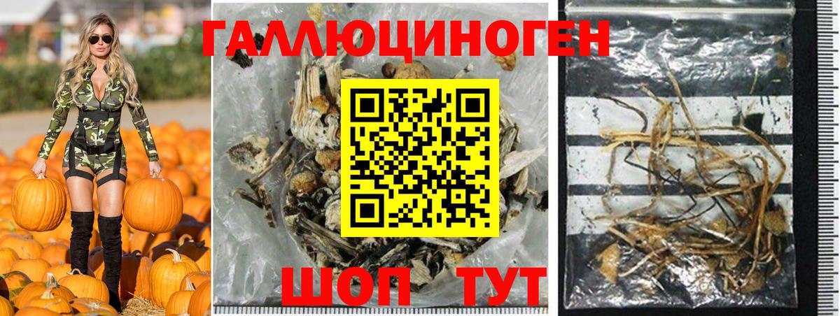 Галлюциногенные грибы Cubensis Севастополь