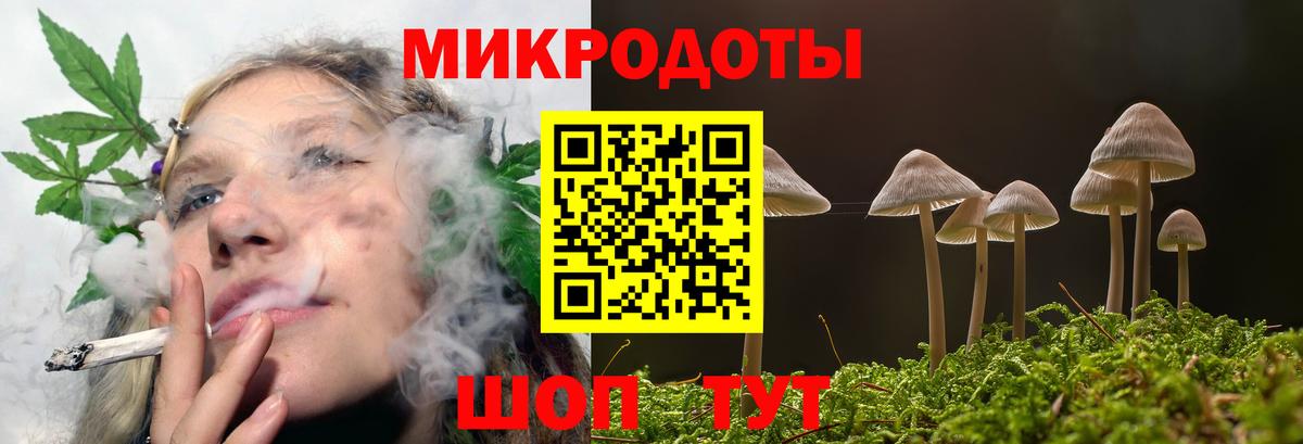 Галлюциногенные грибы MAGIC MUSHROOMS  Вход с VPN  Севастополь 