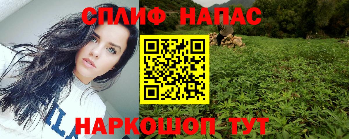 Конопля план Севастополь